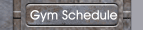 Gym Schedule